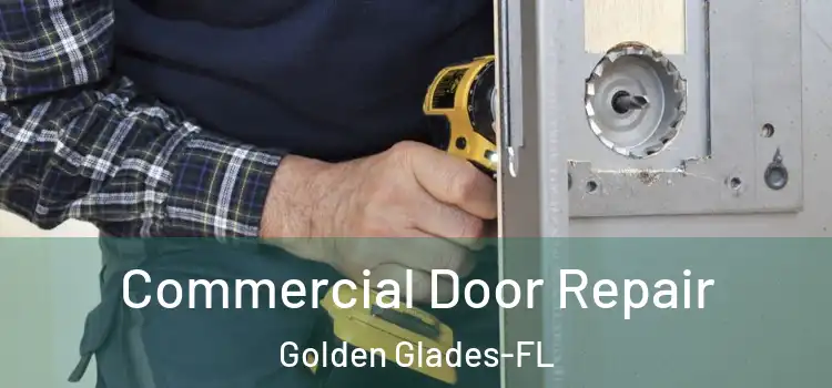 Commercial Door Repair Golden Glades-FL