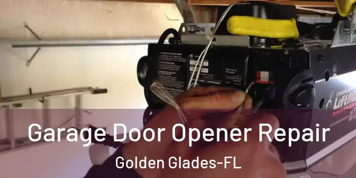  Garage Door Opener Repair Golden Glades-FL