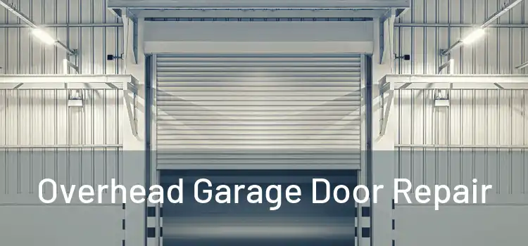  Overhead Garage Door Repair 